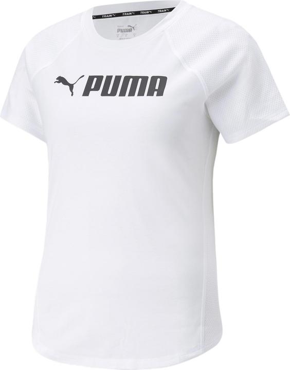 Puma Fit Logo Tee (L)