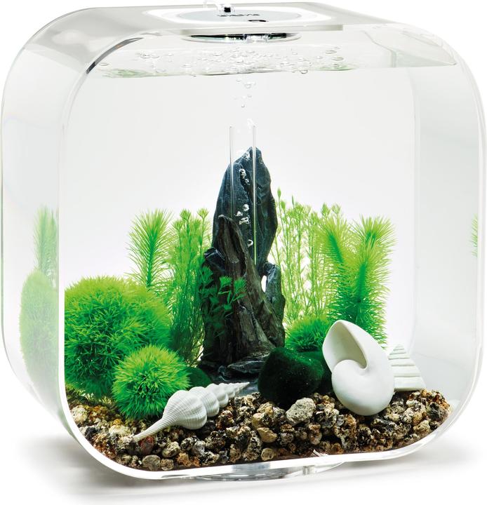 Actual product image Oase biOrb Aquarium 30 Decor Set (Embellishment, other items)