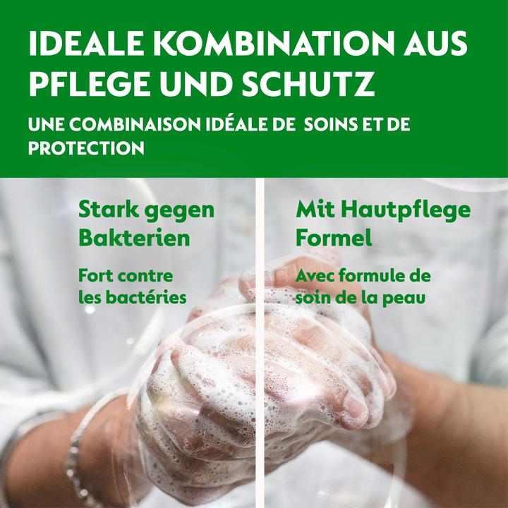 Produktbild Dettol No Touch (Flüssigseife, Handseife Nachfüllpackung, 250 ml)