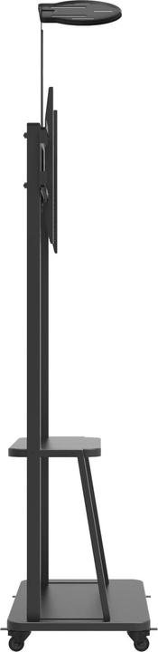 Produktbild Techly Boden-TV-Halter für TV (Universal, 70", 60 kg)