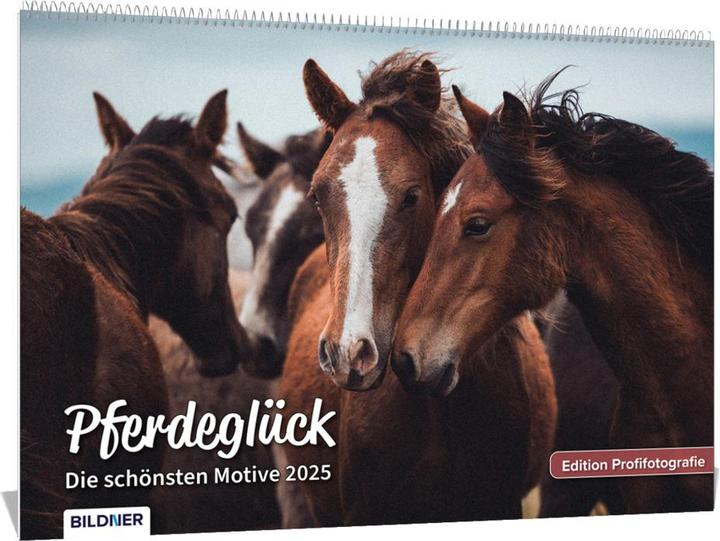 Produktbild Haas:Pferde Kalender 2025 Pferdeglück! (A3, Harter Einband)