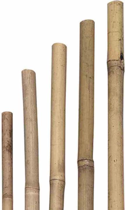 Image du produit Siena Garden Tige de plantation (120 cm, 1 cm)