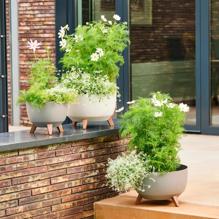 Immagine prodotto Siena Garden Oslo (25 cm)