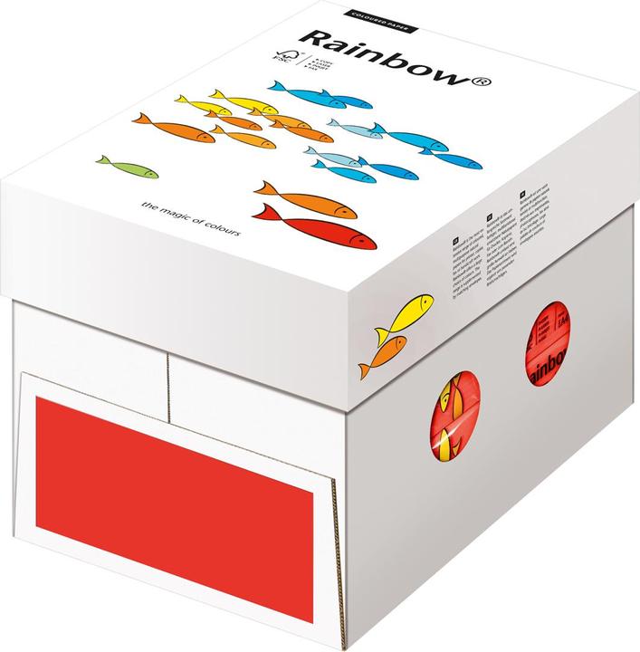 Immagine prodotto Rainbow Carta copiativa colorata A3 (80 g/m², 500 x, A3)