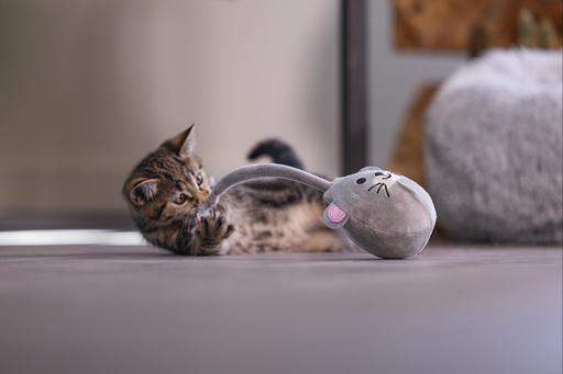 Immagine prodotto Beeztees Wobbler Loena (Catmint giocattolo)