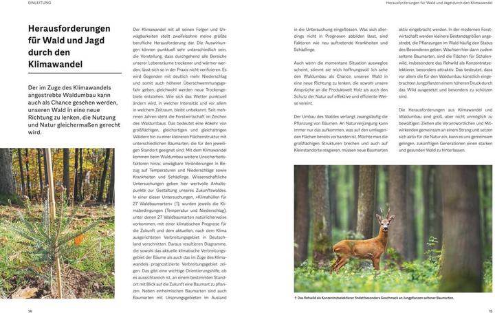 Produktbild Waldbau für Jäger (Deutsch, Beatrice Jäger, 2023)
