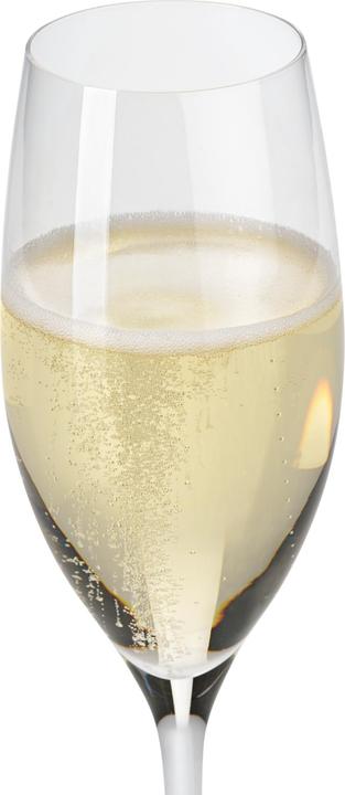 Produktbild WMF Easy Plus Champagnergläser / Sektgläser Set 6-teilig, 250ml, Kristallgläser, spülmaschinenfest (25 cl, 6 Gläser, Sektgläser)