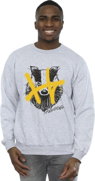 Produktbild Hufflepuff Pop Spray Sweatshirt (L)