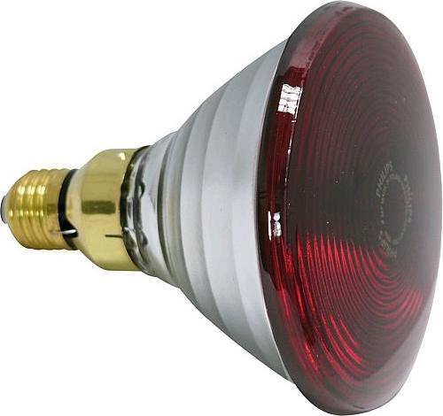 Productafbeelding Philips Par38 (150 W)