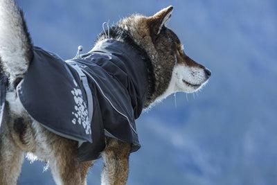 Actual product image Hurtta Monsoon Coat bilberry (65, Dog coat)
