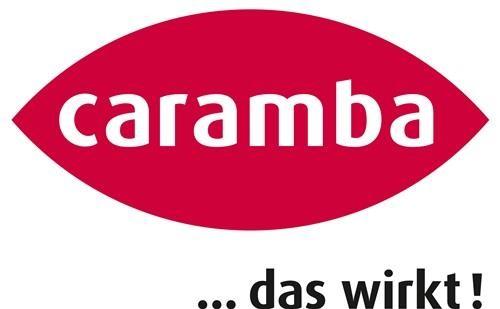 Produktbild Caramba 6290305 Scheibenreiniger 500 ml (500 ml)