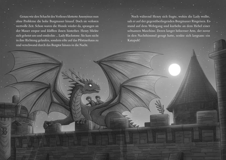 Produktbild Die geheime Drachenschule 2: Der Drache mit den silbernen Hörnern (Pascal Nöldner, Emily Skye, Deutsch)