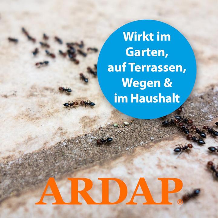 Produktbild Ardap Ameisenspray 400 ml (400 ml)