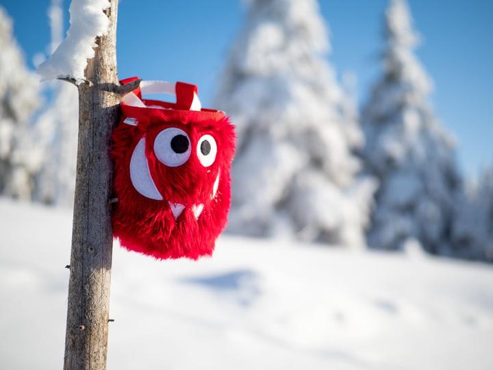 Immagine prodotto Crafty Climbing Tangerine Foodie Monster Chalkbag