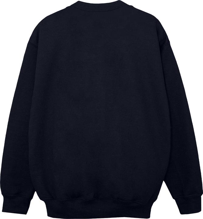 Produktbild The Flash Star Labs Sweatshirt Jungen (152, 158)