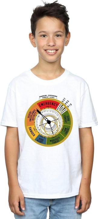 Actual product image Fantastic Beasts Boys Threat Level T-Shirt (140, 146)