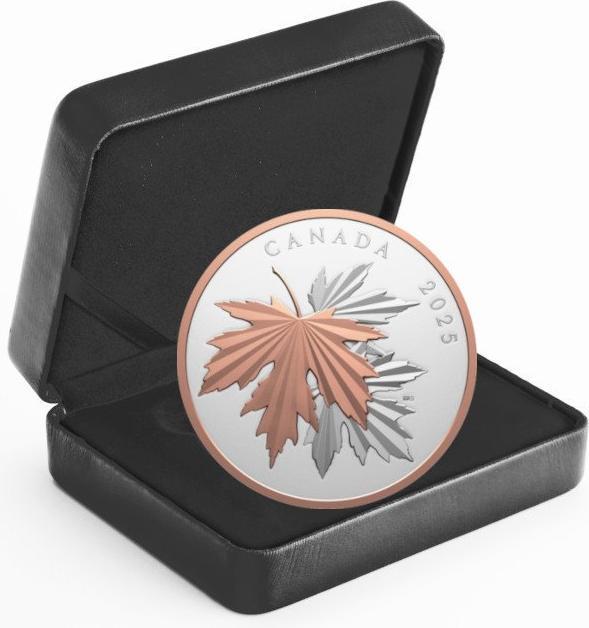 Immagine prodotto The Royal Mint Silber Gleaming Maple Leaf 10 oz PP - 2025 (1.00, 2025)