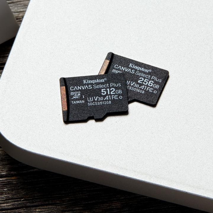 Actual product image Kingston Canvas Select Plus (256 GB, microSDXC, U3, UHS-I)