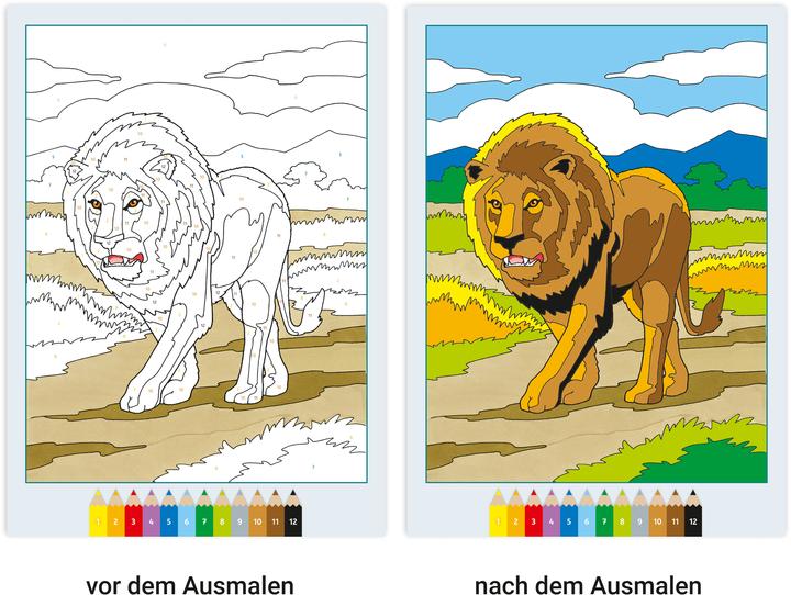 Produktbild Ravensburger Malbuch Malen nach Zahlen