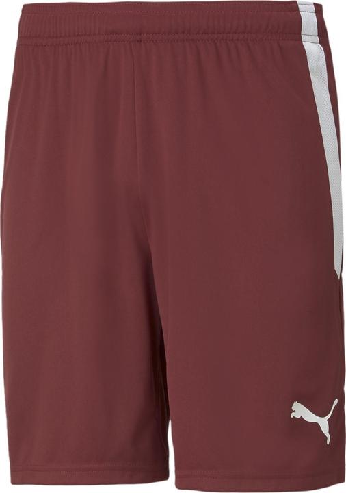 Image du produit Puma Short teamLIGA-704924 (S)