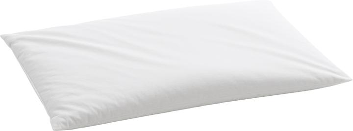 Image du produit Billerbeck Oreiller millet organique (40 x 60 cm)