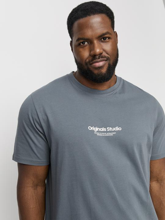 Produktbild Jack & Jones Jorvesterbro Tee Ss Crew Neck Noos Pls (6XL)