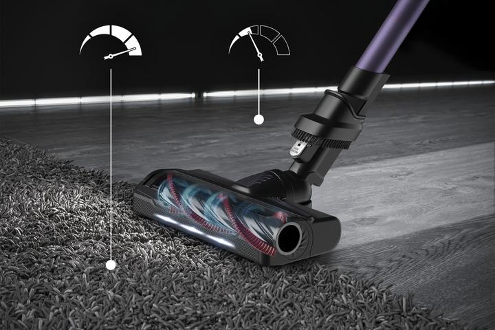 Image du produit Rowenta X-Force Flex 9.60 RH2039