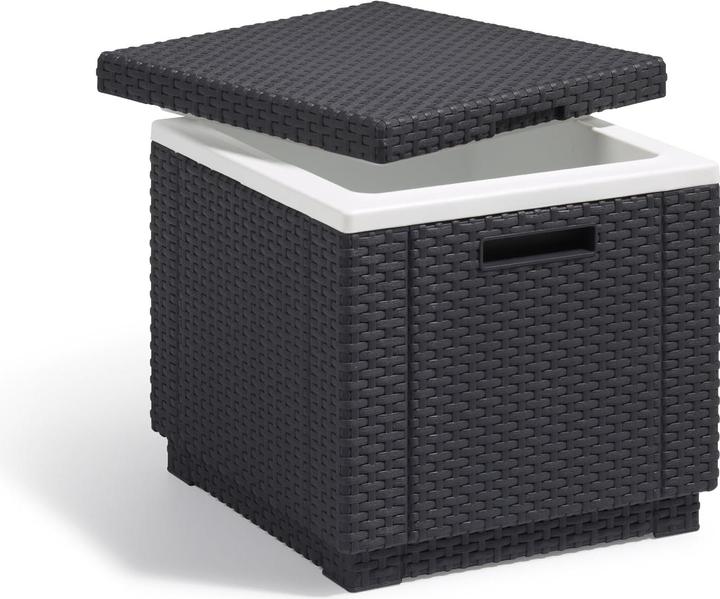 Actual product image Allibert ICE CUBE O/CUSHION ART. 201309 - ANTHRACITE (40 l)