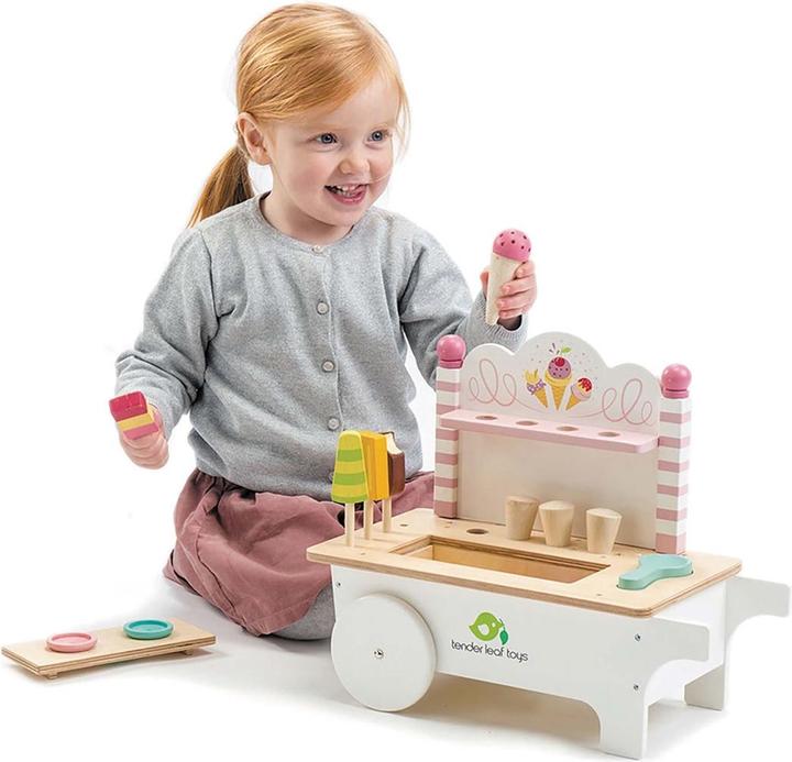 Actual product image Tender Leaf Toys Ice car