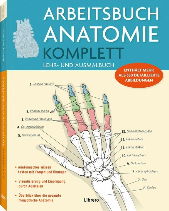Immagine prodotto Arbeitsbuch Anatomie-Komplett (Tedesco, Collettività, 2025)