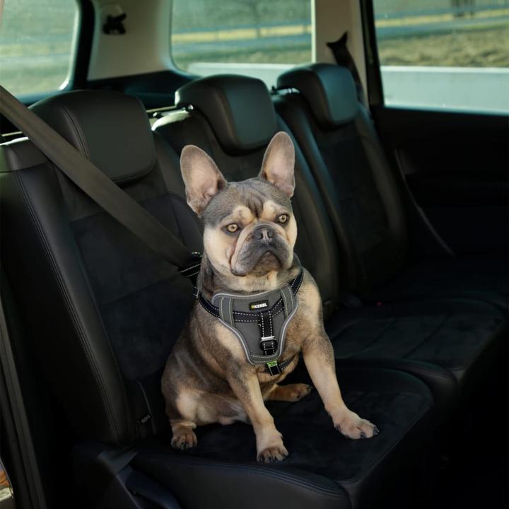 Produktbild Kerbl Autosicherheitsgeschirr (Hund, Sicherheitsverschluss)