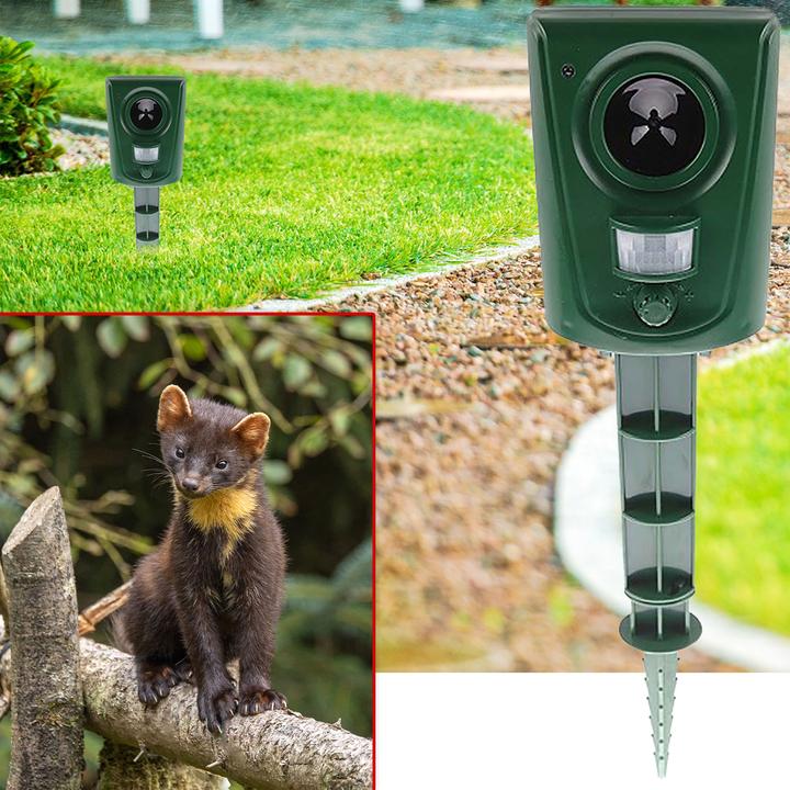 Produktbild Isotronic Ultraschall