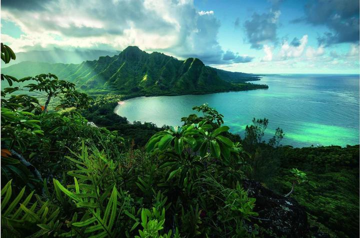 Produktbild Ravensburger Atemberaubendes Hawaii (5000 Teile)