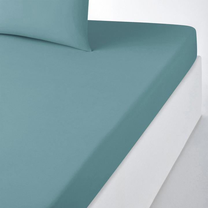 Produktbild La Redoute Interieurs Scenario Coton (120 x 190 cm)