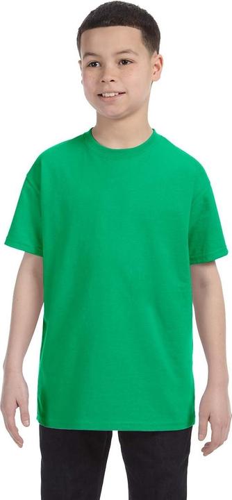 Actual product image Gildan T-shirt with round neck, short sleeves (L)