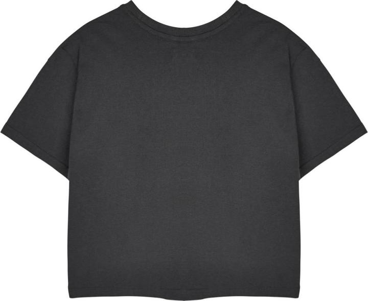 Actual product image Disney Interactive Studios Womens/Ladies Aurora Short-Sleeved Crop T-Shirt (XXL)