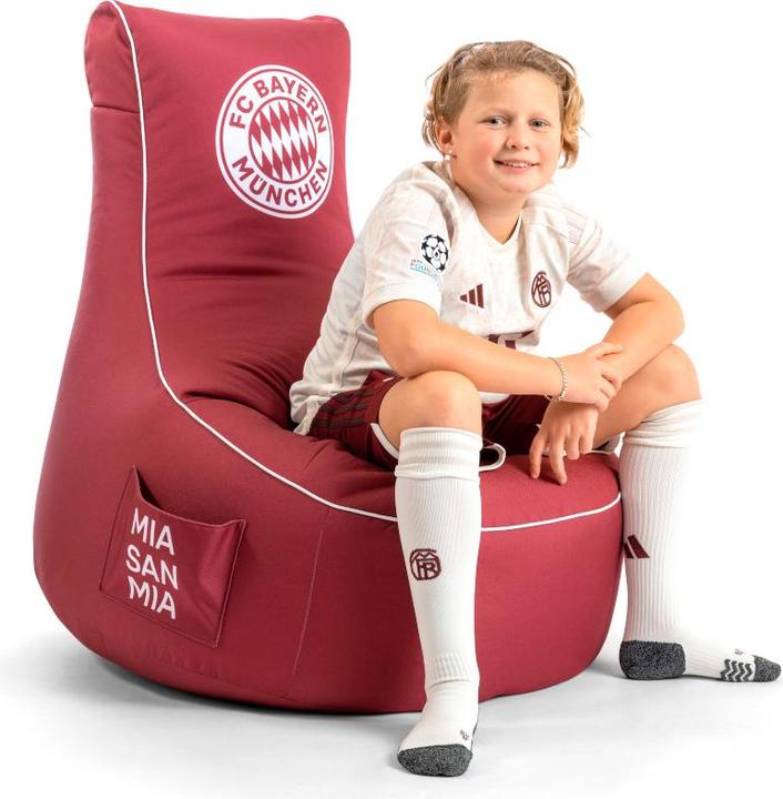 Actual product image Sitting Point Swing FCB