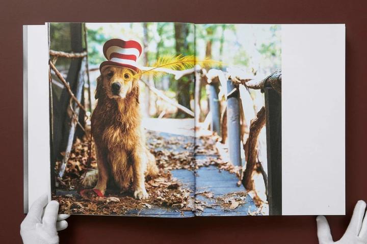 Produktbild Bruce Weber. The Golden Retriever Photographic Society (Deutsch, Französisch, Englisch, Jane Goodall, 2021)