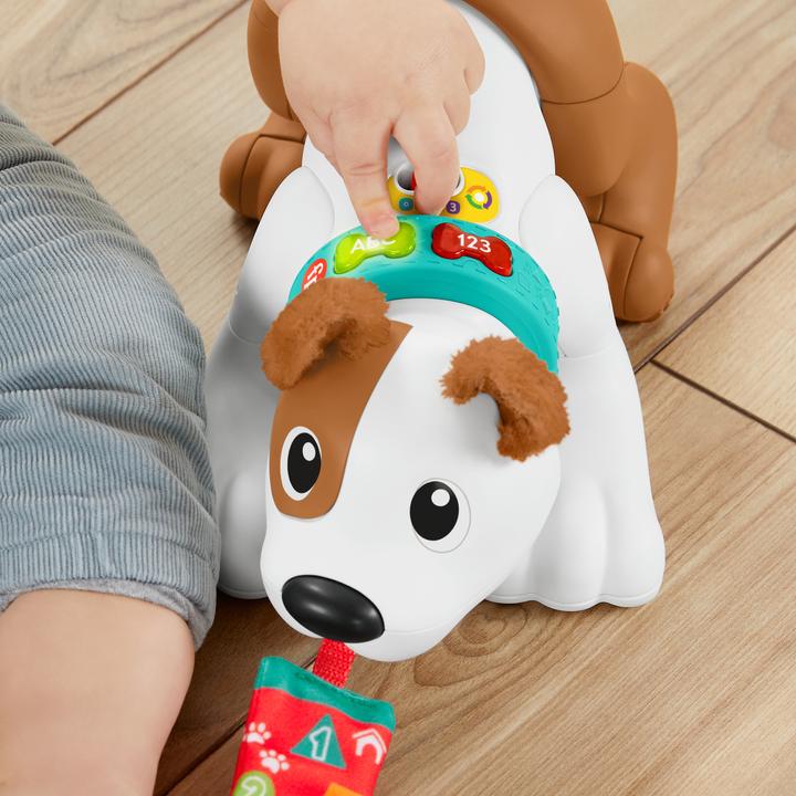 Actual product image Fisher-Price Crawling Dog Bello