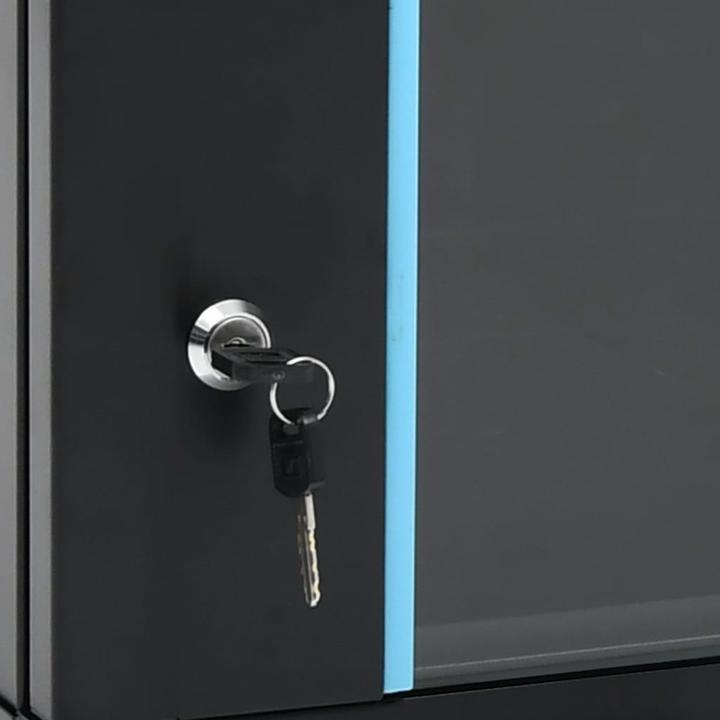 Immagine prodotto VidaXL Armadio di rete (Rack da 19 pollici)