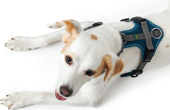 Image du produit Hunter Vaisselle Maldon (XS, Chien, Général)