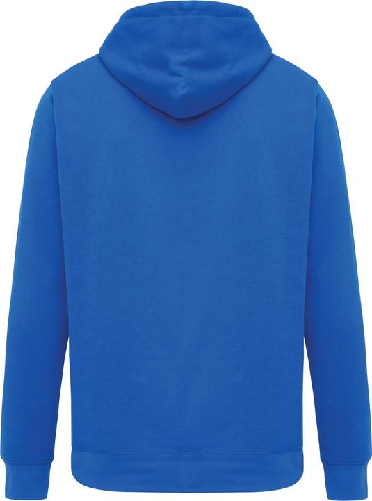 Actual product image Universal Textiles Unisex Adult Rila Recycled Cotton Lightweight Hoodie (M)