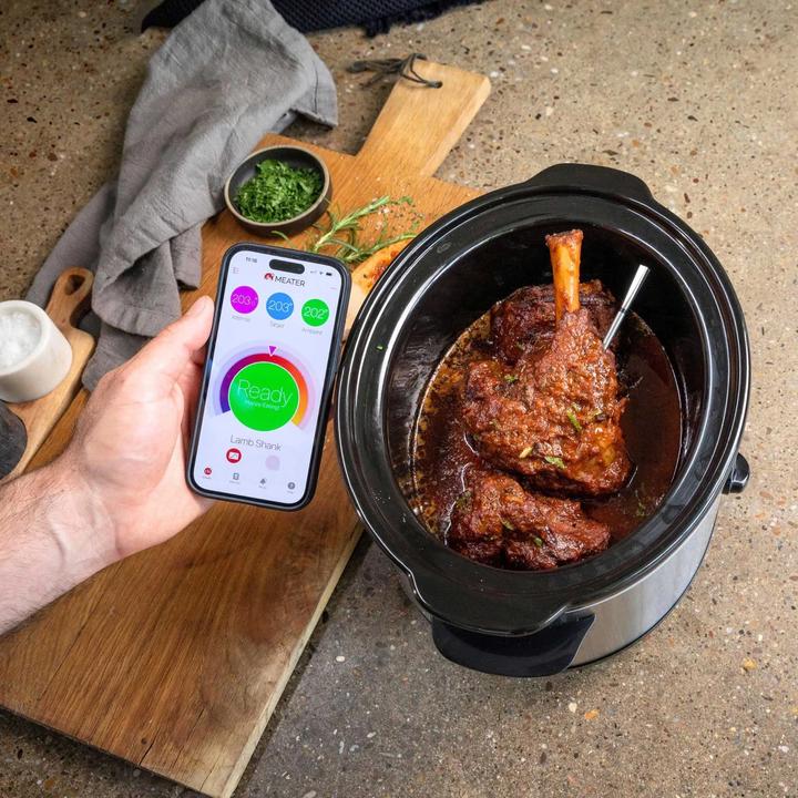 Actual product image Meater Pro