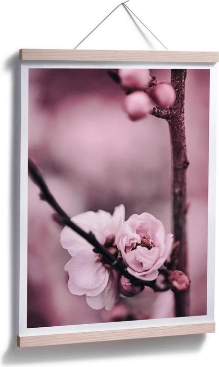 Actual product image Trenddeko Flower buds (40 x 50 cm)