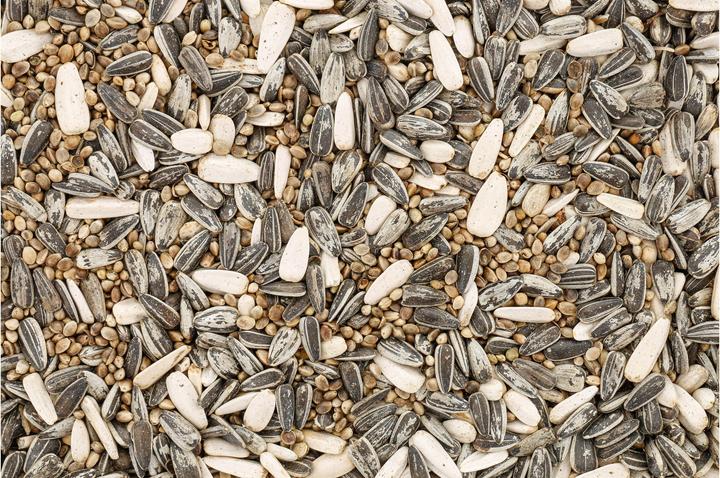 Image du produit Schweizer Eric Vogelfutter Mélange pour oiseaux sauvages Premium 1 kg (1 x, 1 kg)