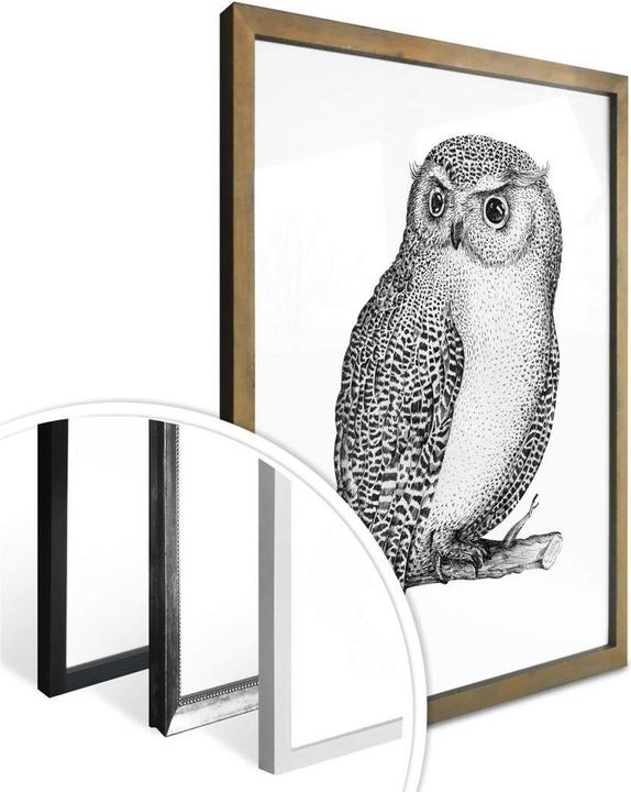 Produktbild Trenddeko Wachsame Eule (24 x 30 cm)