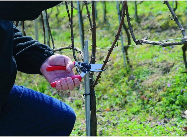 Produktbild Felco Gartenschere