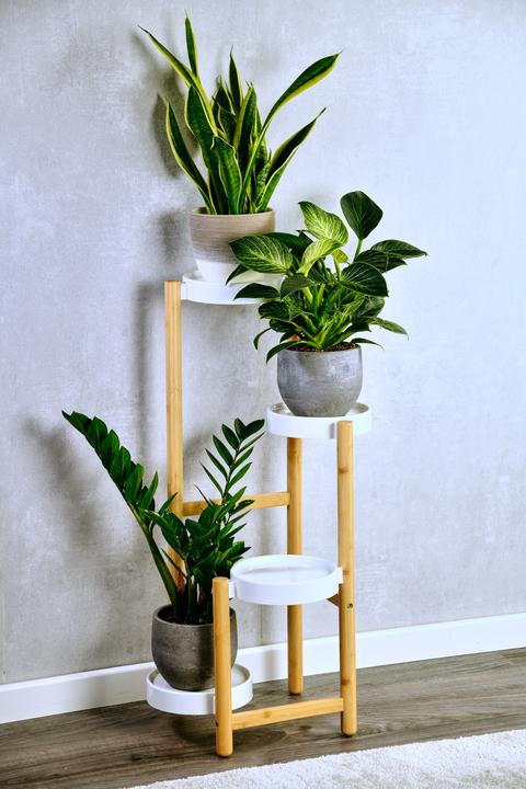 Actual product image Kesper Blumenständer