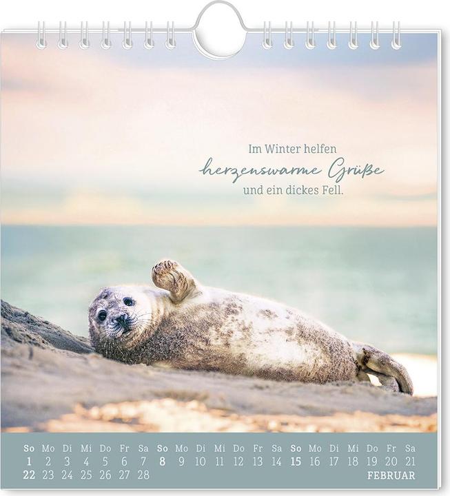 Actual product image Postkartenkalender 2026 Strandgut (16 x 17 cm, German)