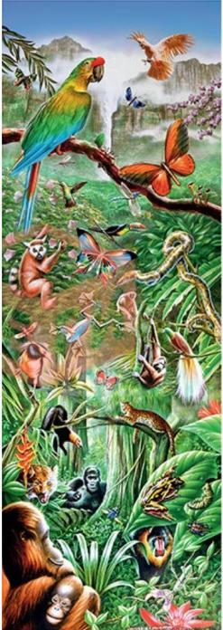Produktbild Step Puzzle 1000 pieces Jungle (1000 Teile)